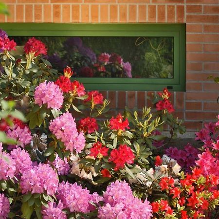 Villa Delle Ortensie Tavagnacco Extérieur photo