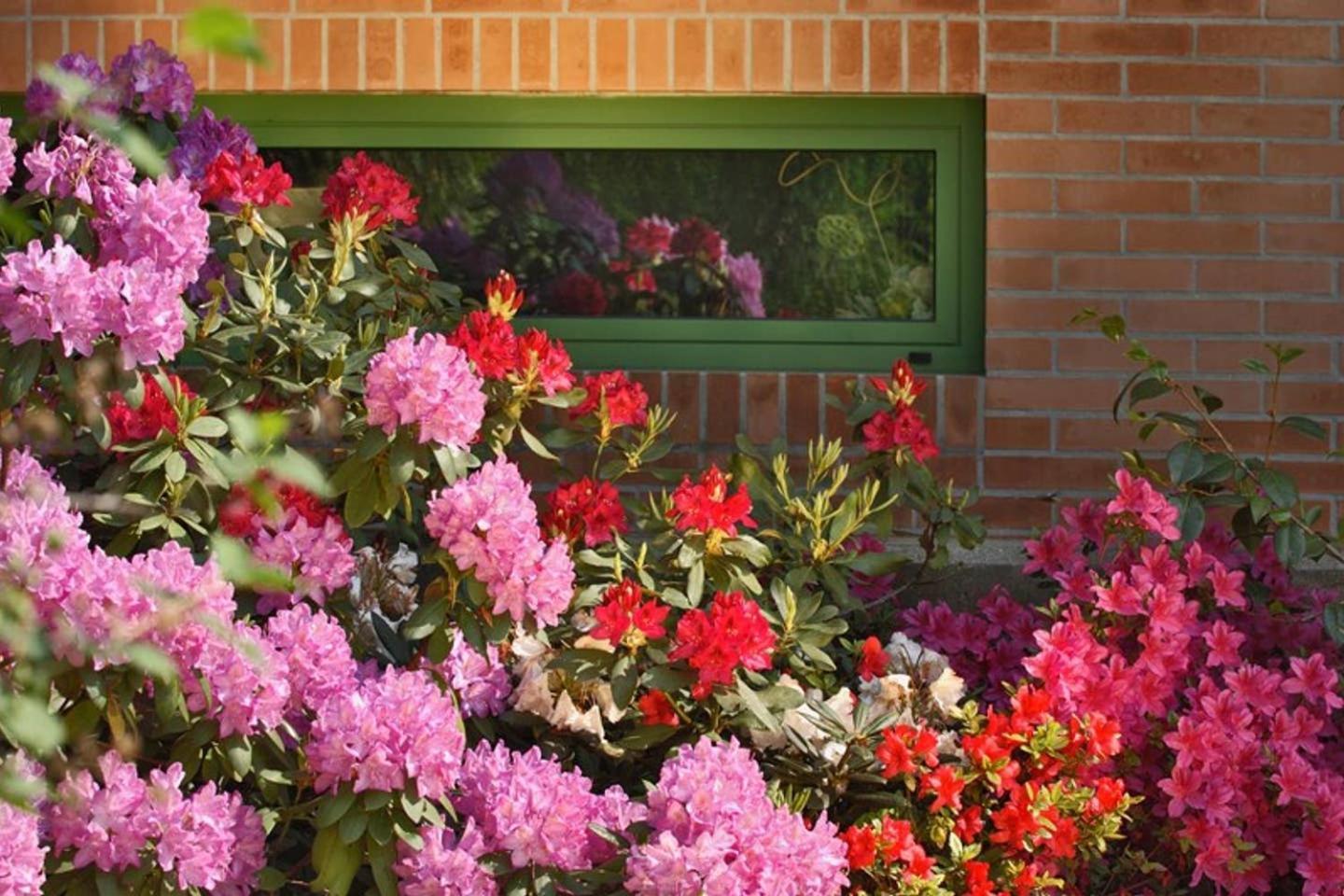 Villa Delle Ortensie Tavagnacco Extérieur photo
